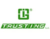 Тормозной диск TRUSTING DF1099