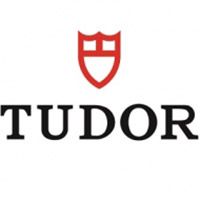 Стартерная аккумуляторная батарея; Стартерная аккумуляторная батарея TUDOR G210